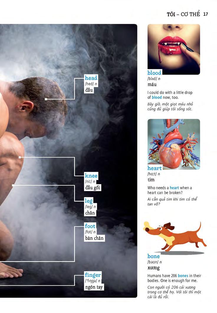 Sách Học Tự Vựng Tiếng Anh Qua Hình Và Ví Dụ Minh Họa