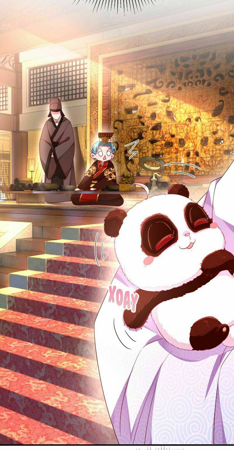 thiên thần gấu trúc muốn được ôm chapter 40 11