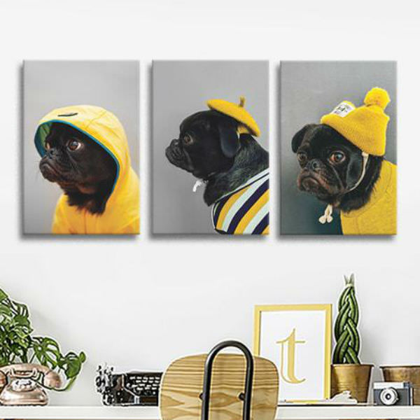 Bộ 3 Tranh Ép Gỗ MDF Treo Tường Hình Thú "Pug Đen Mũ Vàng" W510