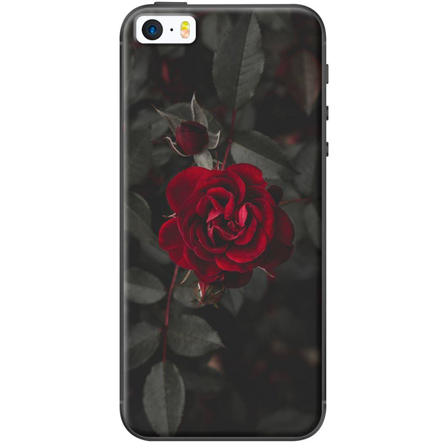 Ốp Lưng Dành Cho iPhone 5/ 5s - Hoa Hồng Đỏ