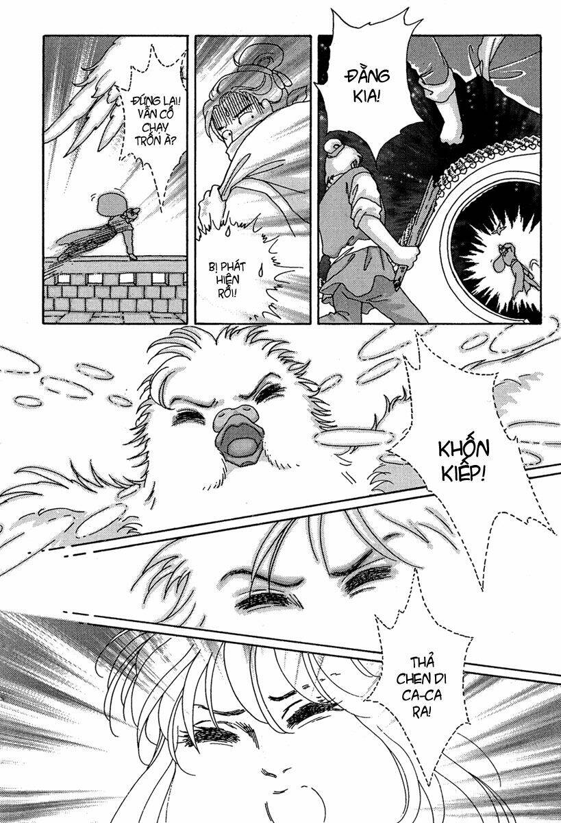 bird of youth chapter 4 8