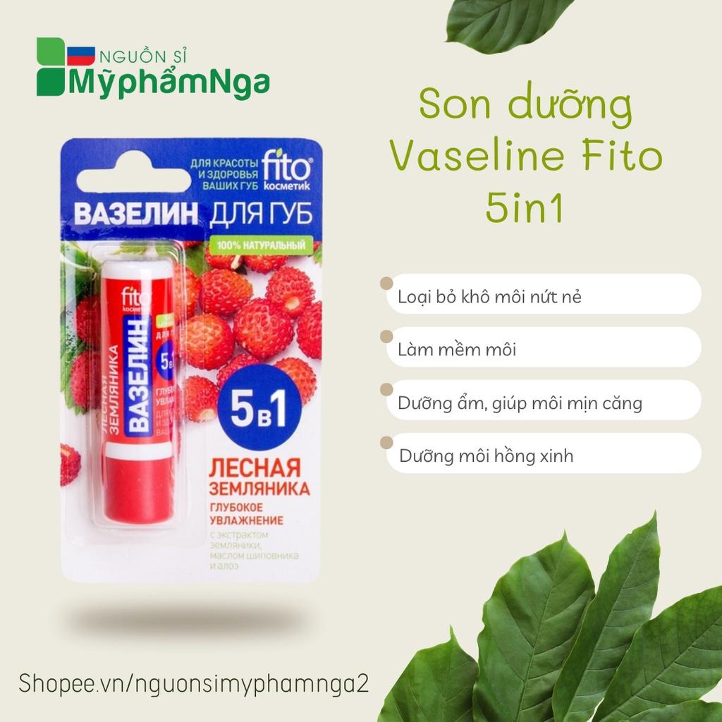 Son dưỡng môi thảo mộc Fito 5in1