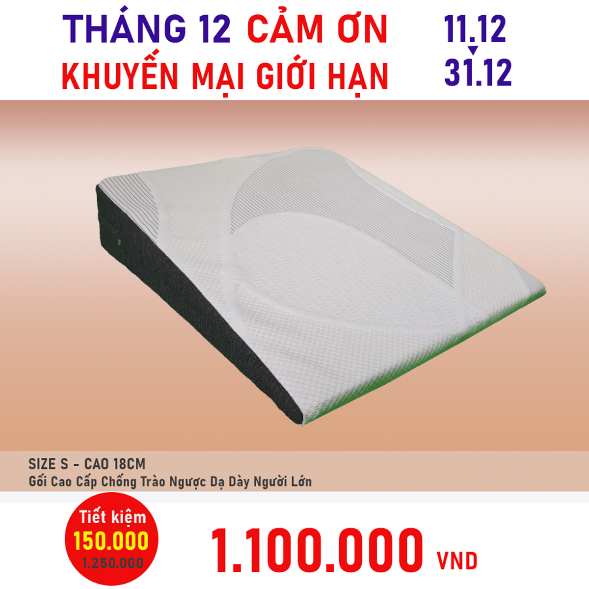 Gối Chống Trào Ngược Dạ Dày Thực Quản Cao Cấp ASALAA Dành Cho Người Lớn- MADE IN VIETNAM