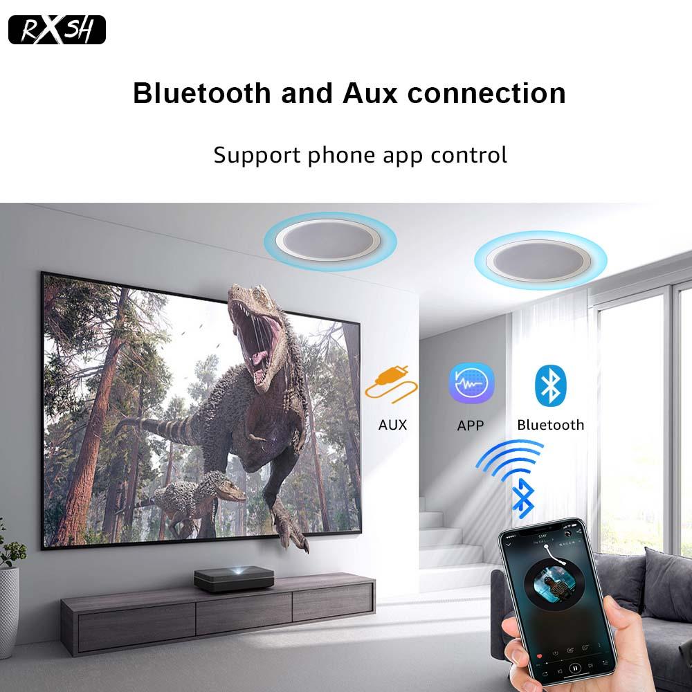 Loa trần Bluetooth hình nón kép 6'' Loa mái trong nhà Âm thanh nổi HiFi trên trần cho hệ thống nhạc nền tại nhà Màu sắc: 1 BT và 3 Thụ động