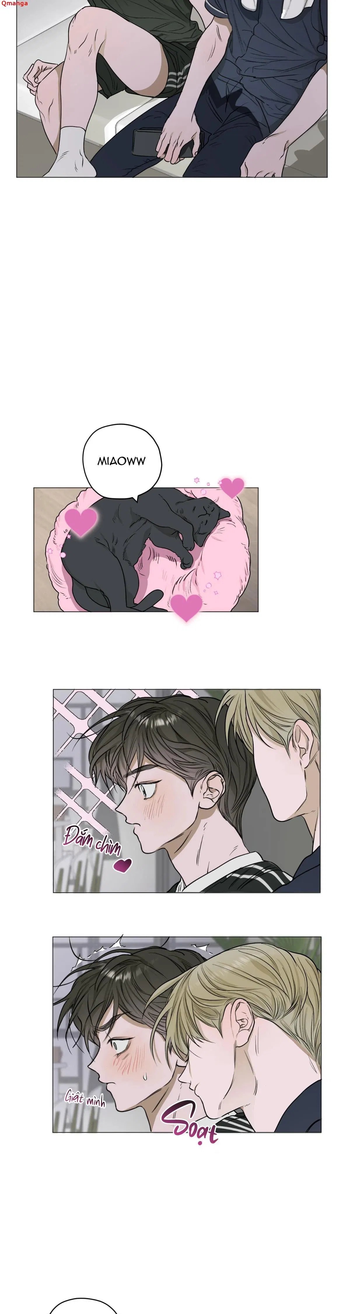 đoá hoa trên mặt hồ chapter 3 8