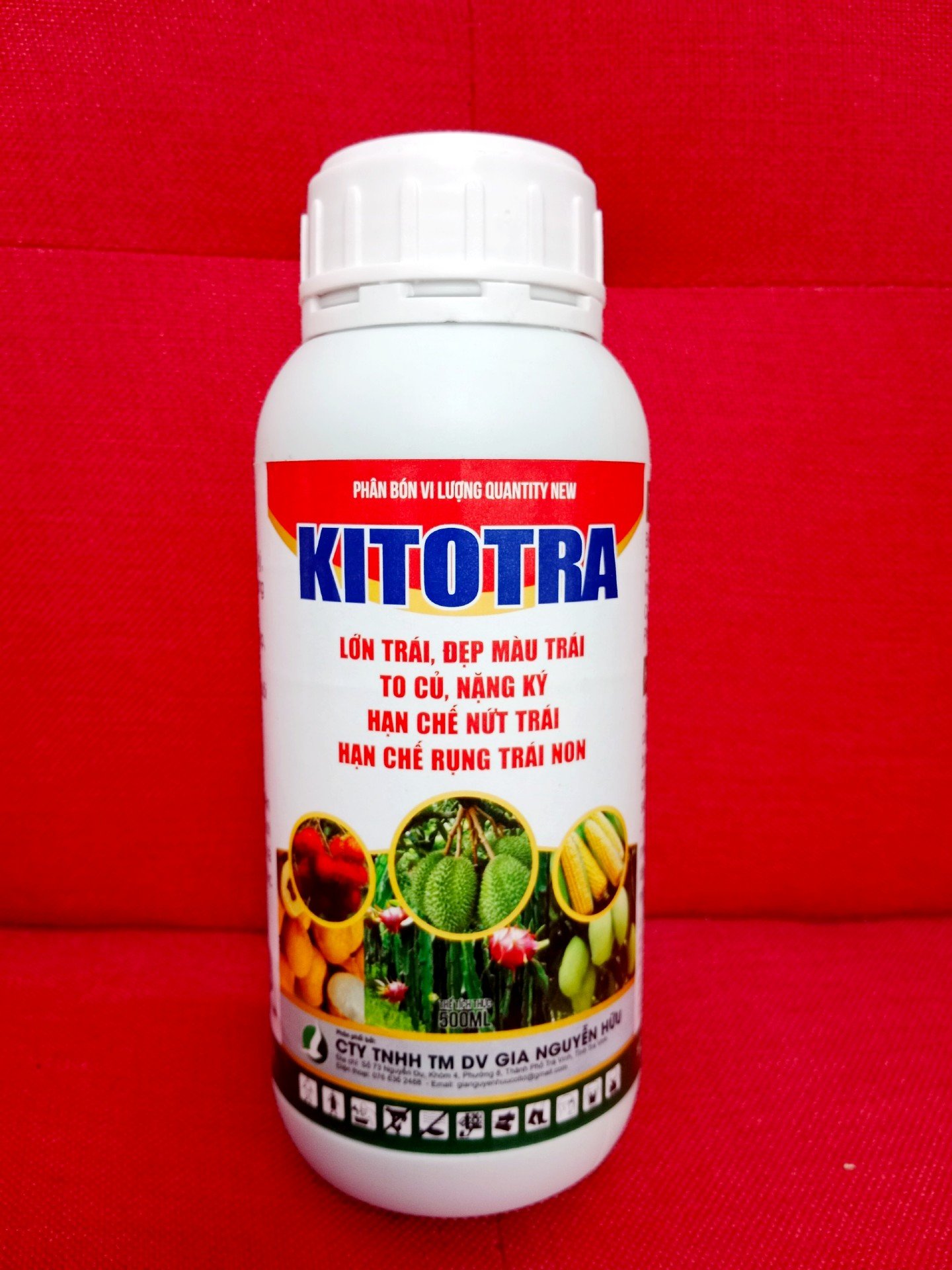 KITITRA TĂNG TRỌNG LƯỢNG TRÁI