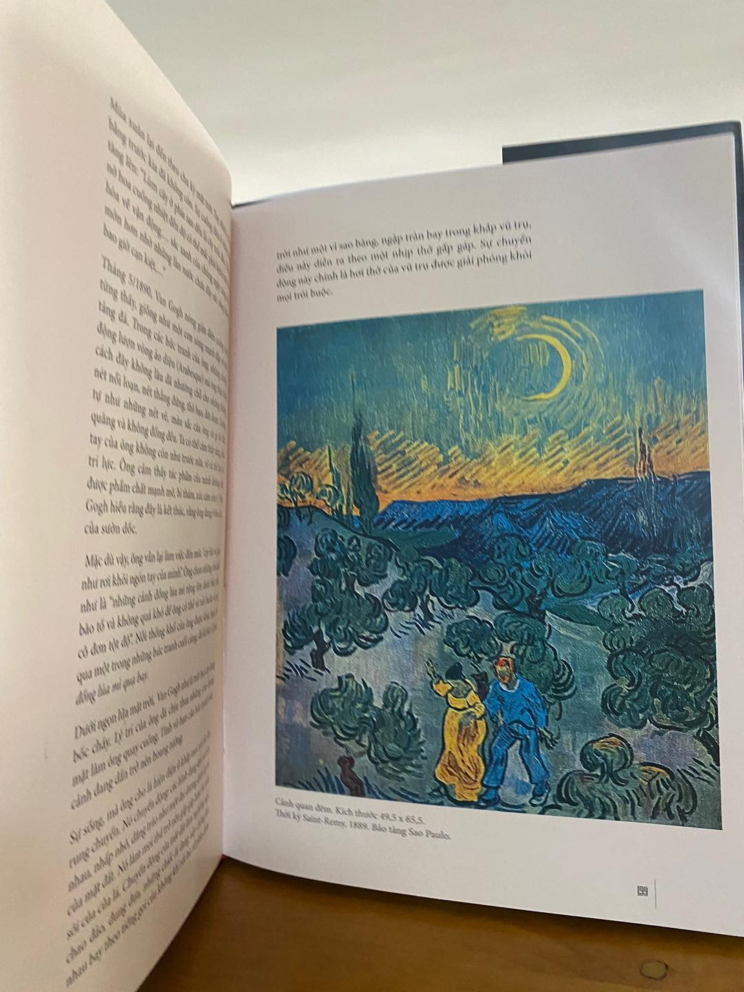 Cuộc Đời Của Van Gogh - René Huyghe, Robert Wallace - Nguyễn Lê Tuấn Anh dịch -
