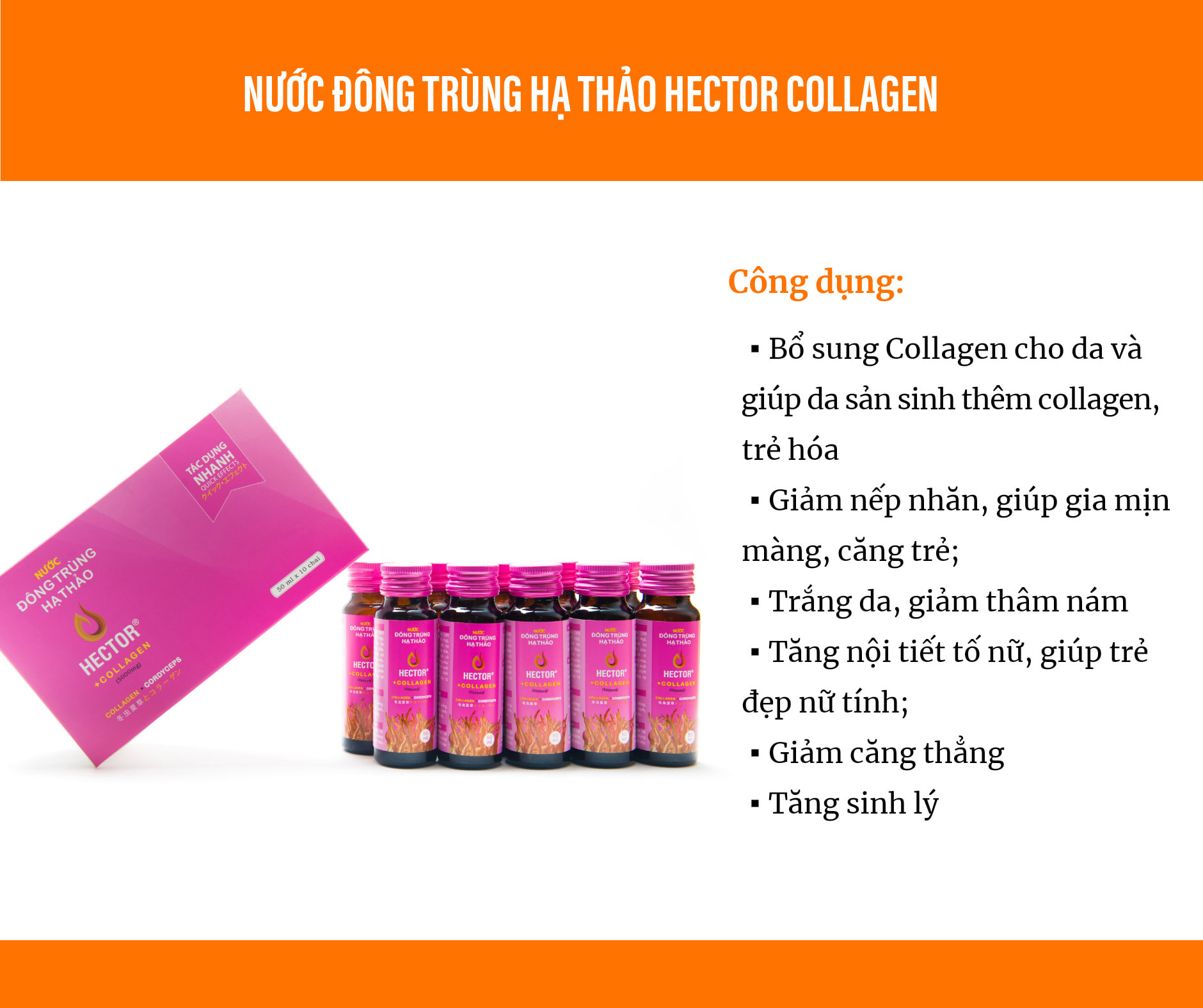 Combo 2 hộp 20 Chai Hector Collagen & 1 hộp Hector Sâm