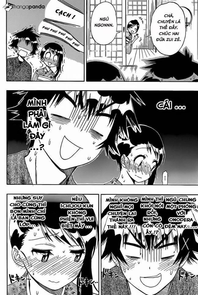 nisekoi - tình yêu giả tạo chapter 144 2