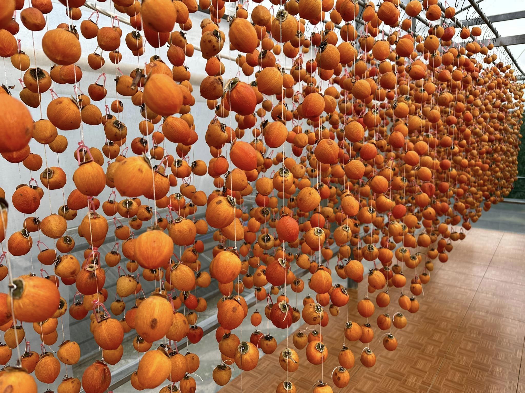 Hồng treo gió Đà Lạt 500g