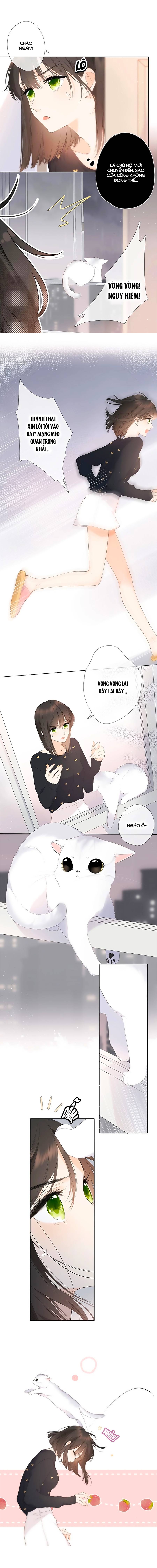 lại gặp được em chapter 4 3