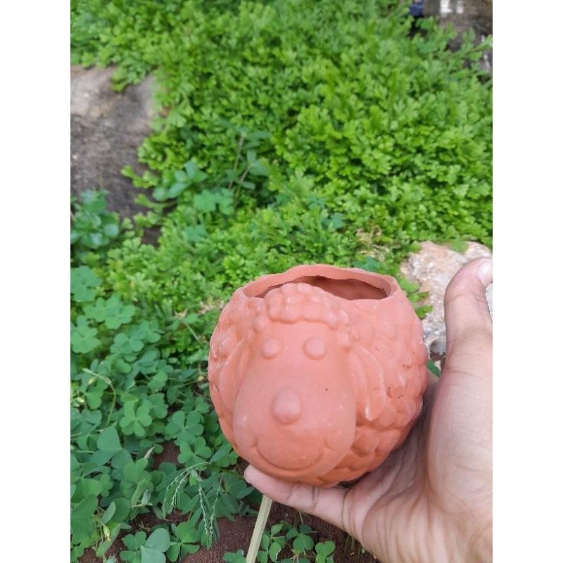 Thiên thần chậu - chậu trồng bonsai - chậu trồng cây mini - chậu trồng cây hình thú