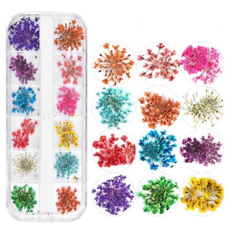 Hoa Khô Chùm Nhỏ Khay 12 Ô Mix MàuTrang Trí Móng Siêu Đẹp Làm Nail Vẽ Nail Nữ Women