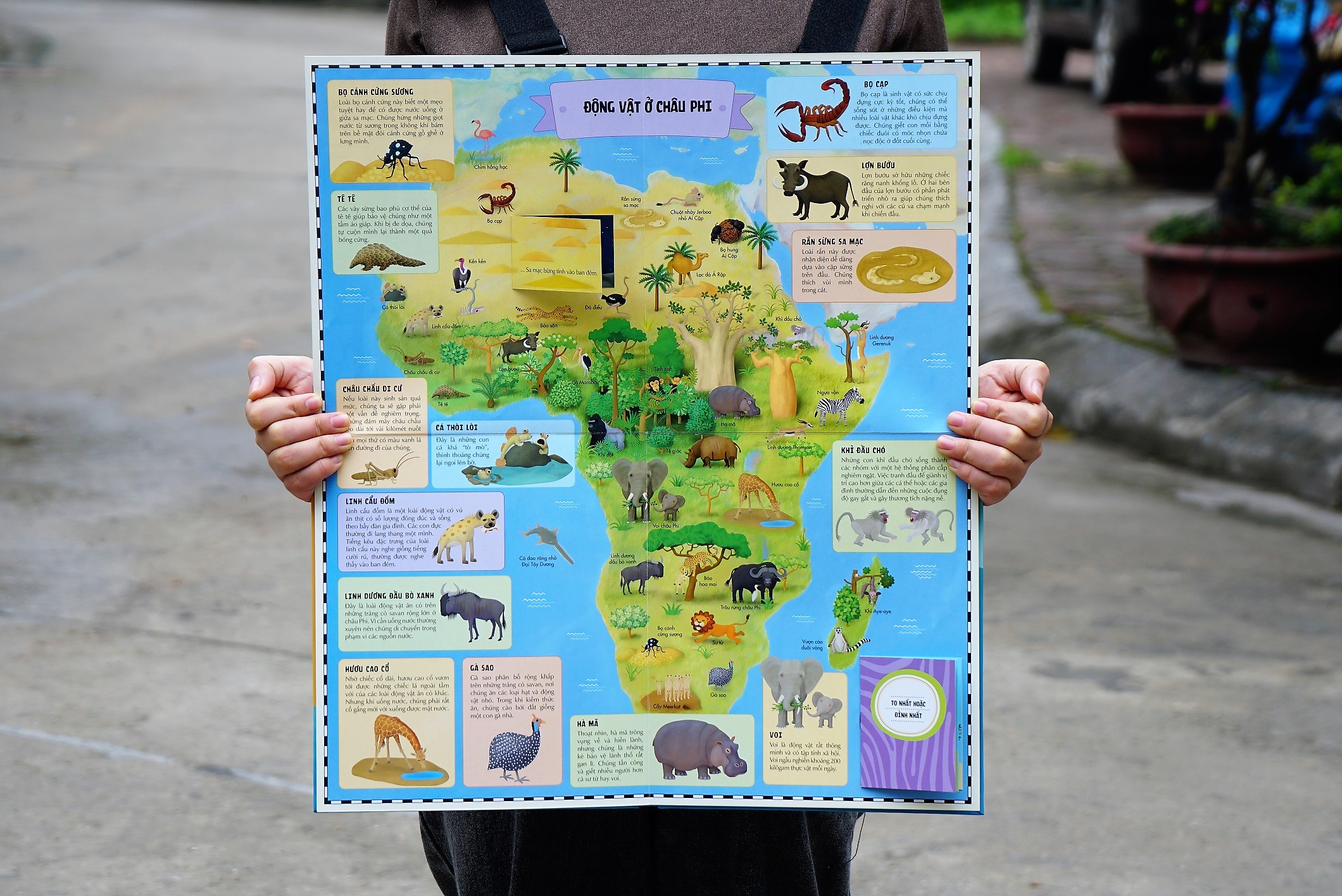 Sách Atlas Động Vật – Khám Phá Thế Giới Động Vật  – Đinh Tị