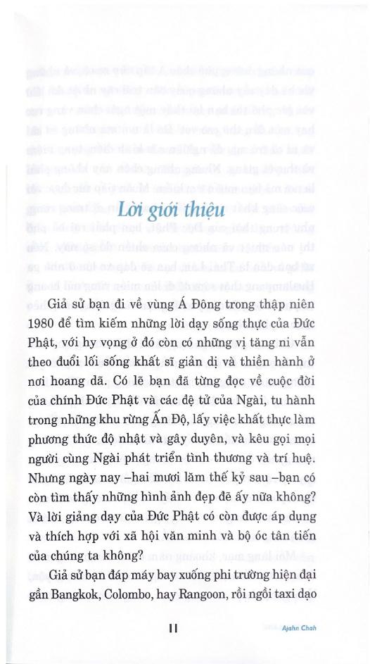 Tâm Tĩnh Lặng (Tái Bản 2024)