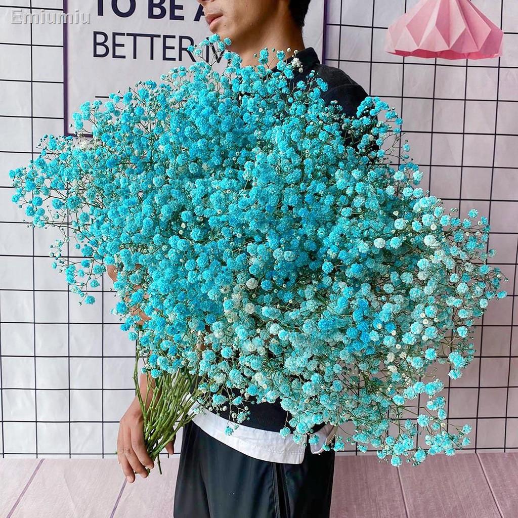 ✸Gypsophila bó hoa khô siêu lớn trang trí nội thất nhà cửa