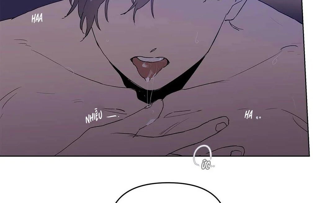 guide cấp b chapter 21 15