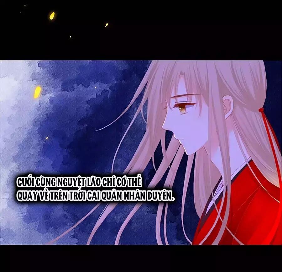 hoa chưa nở rộ chapter 20 7