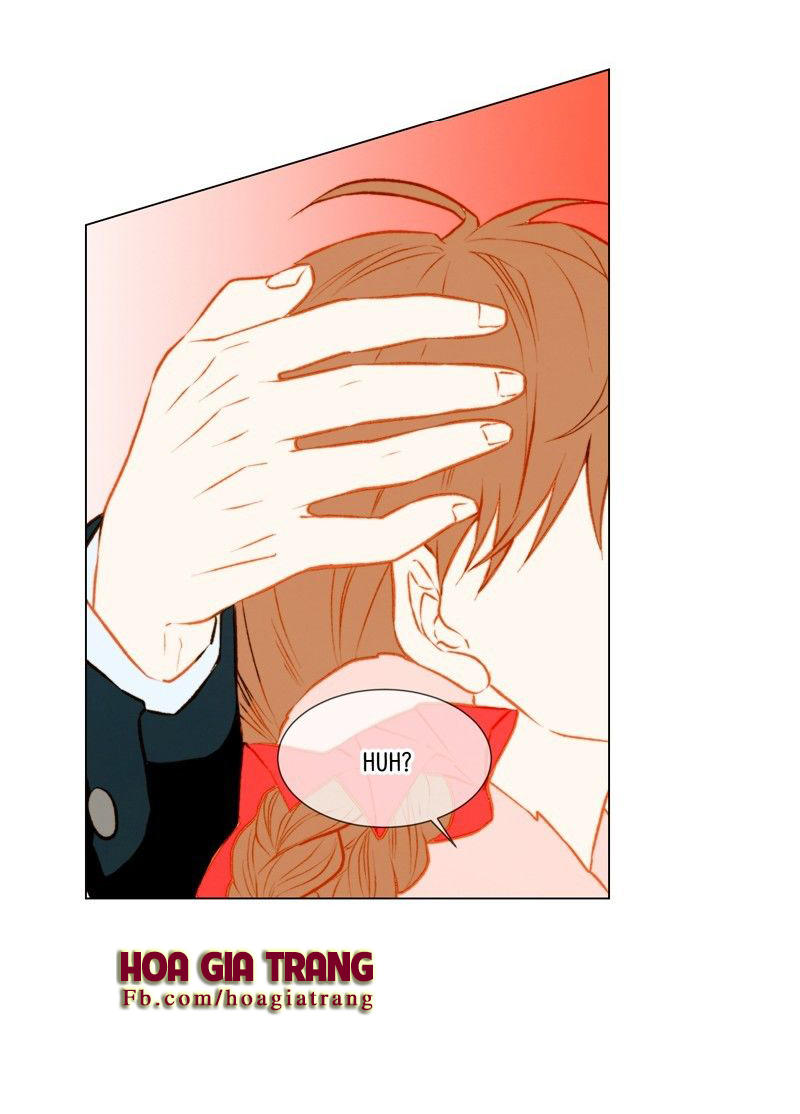 sao chép chapter 33 39