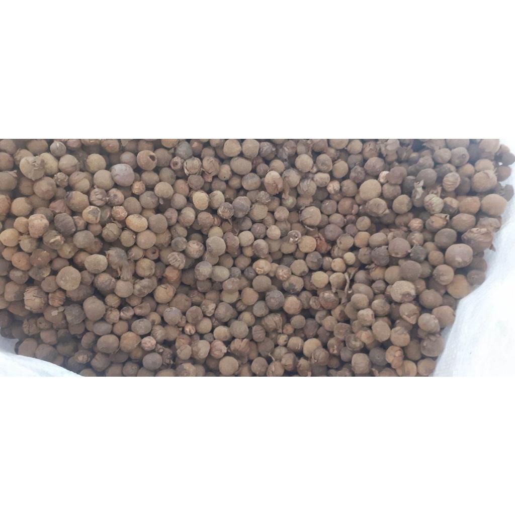 100 gram hạt giống cây tếch, giá tỵ