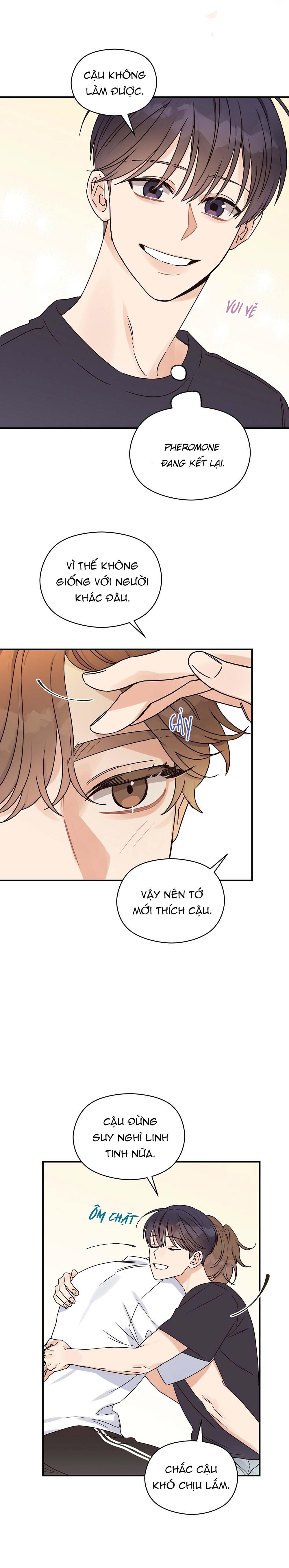 omega complex (end) chapter 26 17