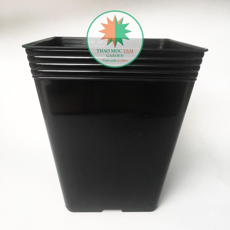 Chậu Vuông Dày 34x39cm Trồng Hoa Hồng, Sung Mỹ, Cây Kiểng – Chất liệu nhựa PP, dẻo dai chất lượng cao