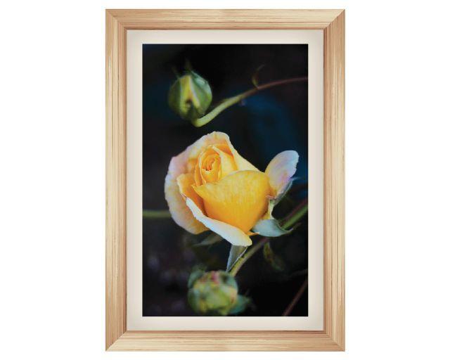Tranh dán tường hoa phong thủy 153_56cm x 80cm_DECAL VIP