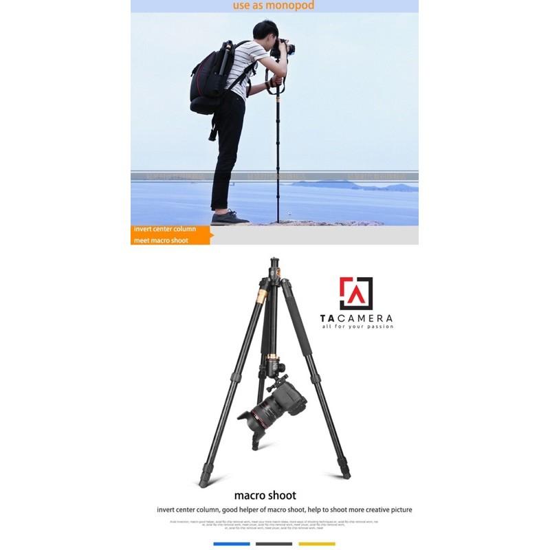 Chân máy ảnh Beike Q999H - Hàng Chính hãng