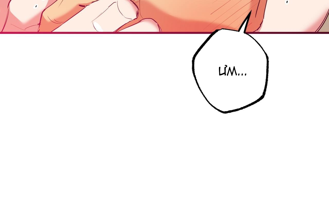 đàn thỏ của habibi chapter 38 7