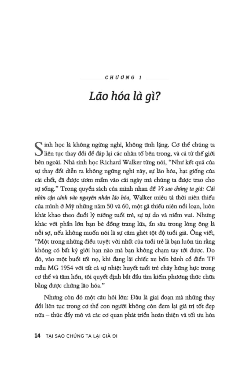Tại Sao Chúng Ta Lại Già Đi? - Hiểu Đúng Về Lão Hóa _TRE