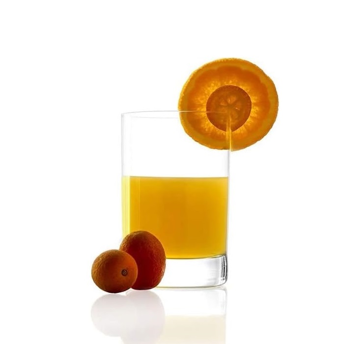 Ly Uống Nước Thủy Tinh Cao Cấp Stoelzle New York Bar Juice Glass 290ml - Thời Trang Và Sành Điệu Dành Cho Quầy Bar Tại Nhà