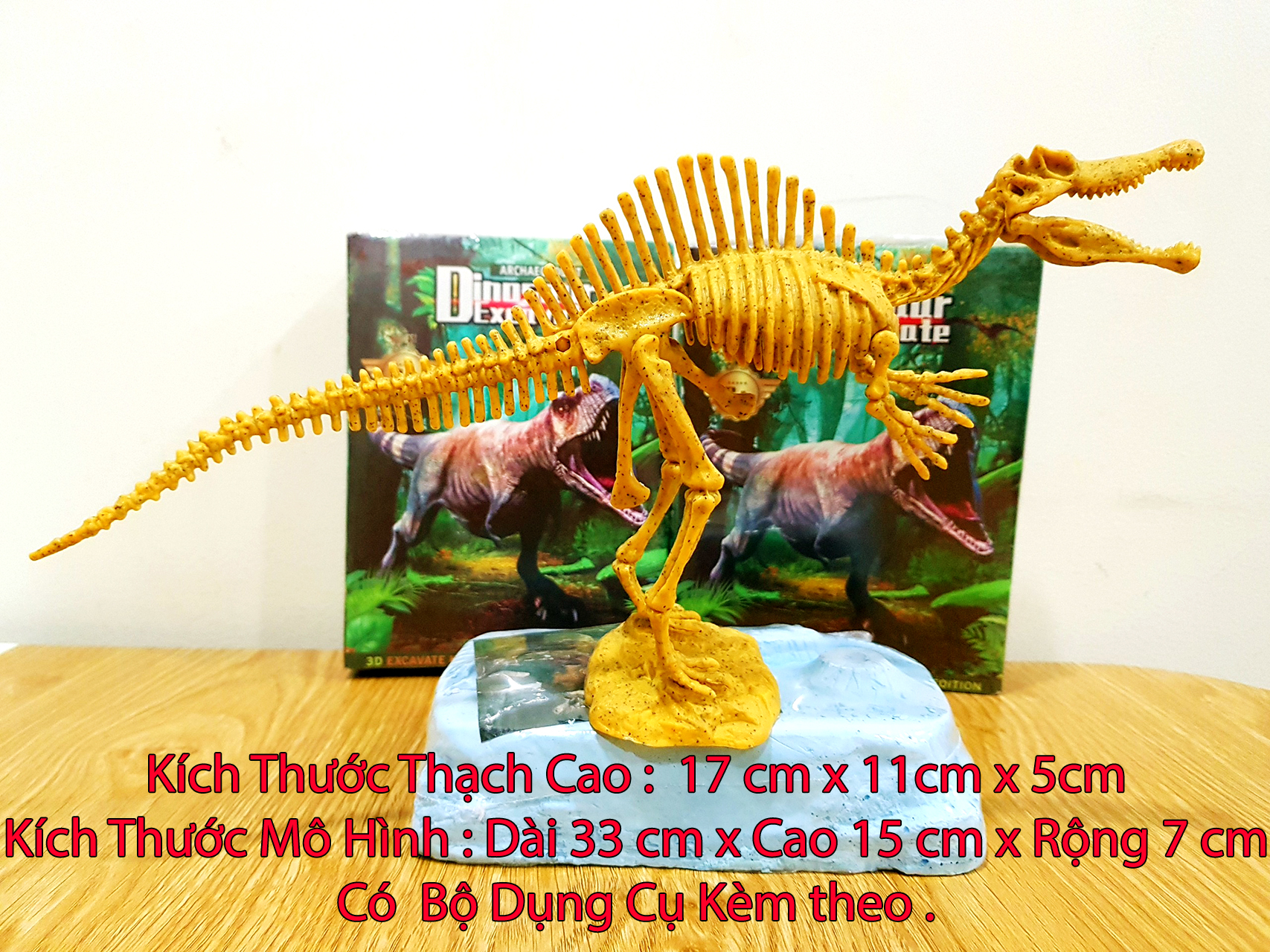 Đồ chơi khảo cổ đào hóa thạch tìm xương hỏa thạch khung long, khủng long bạo chúa. Phiên Bản version 2 mới lạ.