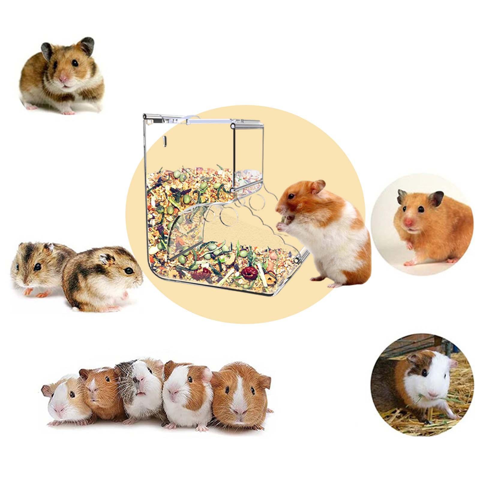 Automatic Hamster Feeder Dwarf Acrylic Birds Transparent Guinea Pig Feeding
