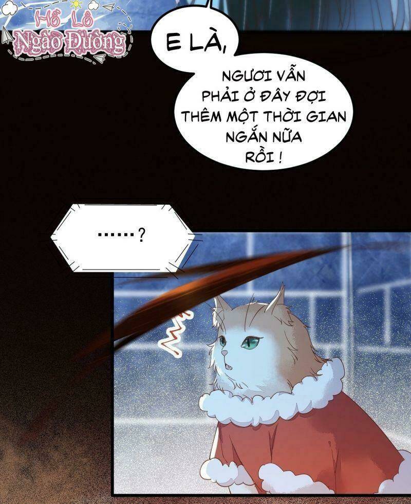 sát thủ vương phi không dễ chọc chapter 40 24