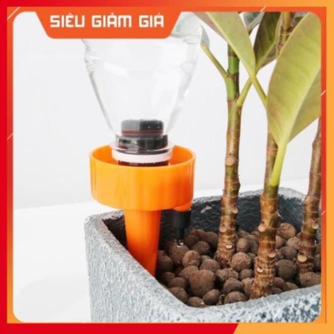 Set 12 que cắm tưới cây nhỏ giọt 206801
