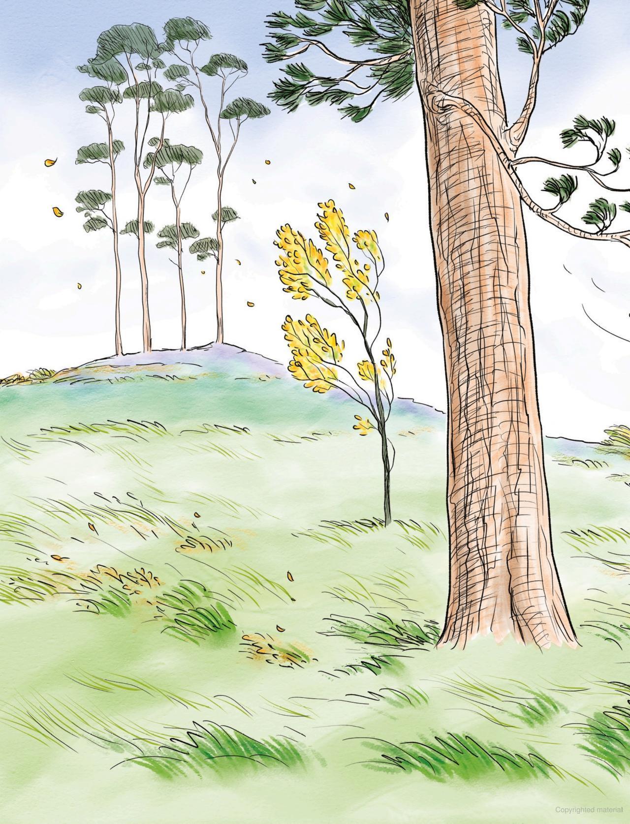 Sách ngoại văn: What Shall We Do, Winnie-the-Pooh?
