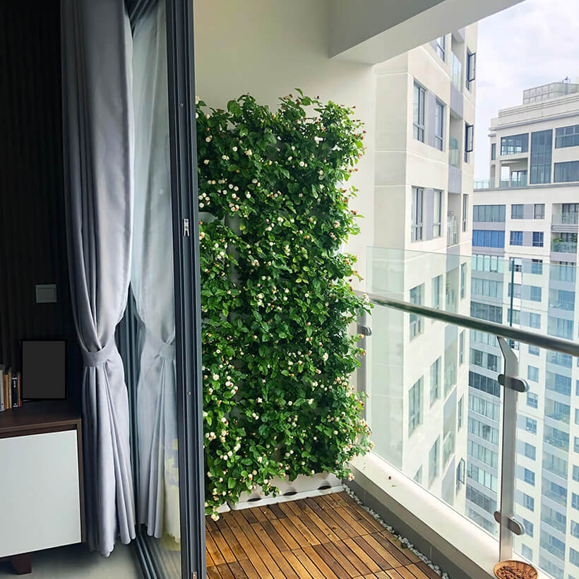 Khung Vườn Đứng Cây Ban Công dùng trồng cây xanh treo tường dạng đứng