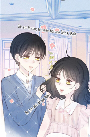 nỗi buồn của hoa cẩm tú cầu chapter 35 37