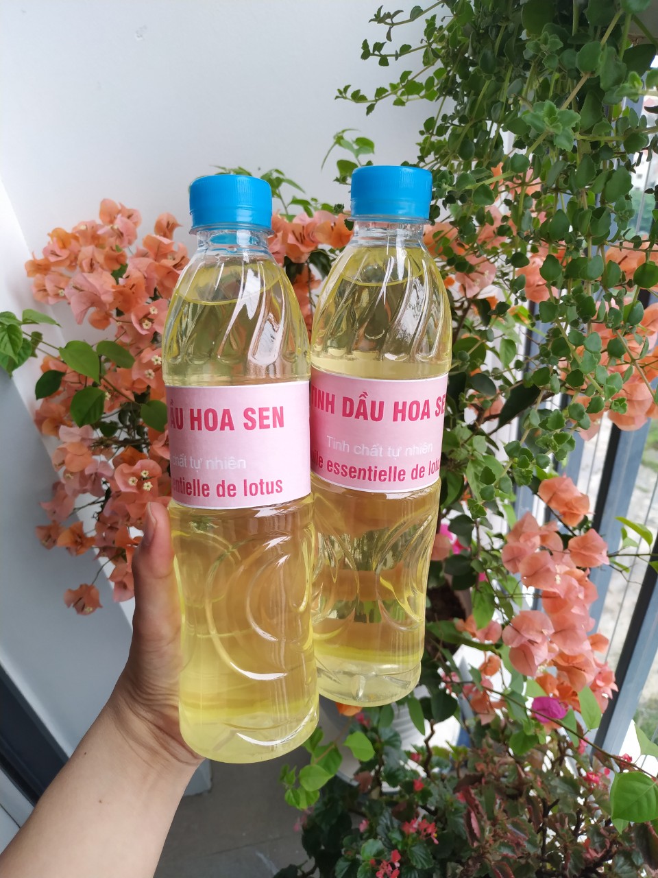 Tinh dầu Sen lau ban thờ, chai 500ml