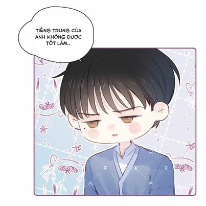 nỗi buồn của hoa cẩm tú cầu chapter 35 27