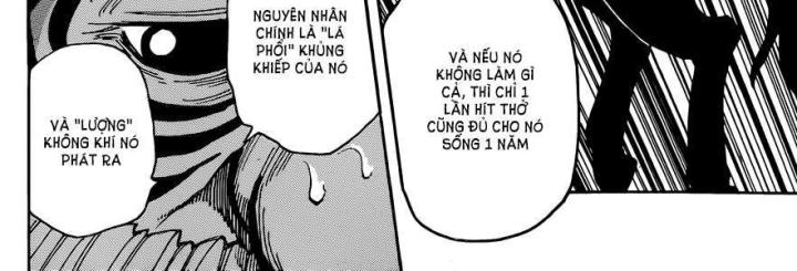 thánh tỏi sành ăn chapter 283 36