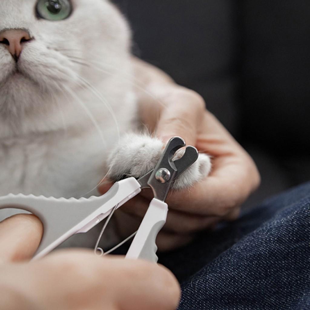 Kéo cắt móng thú cưng Xiaomi Pawbby bằng thép không gỉ có khóa tiện dụng