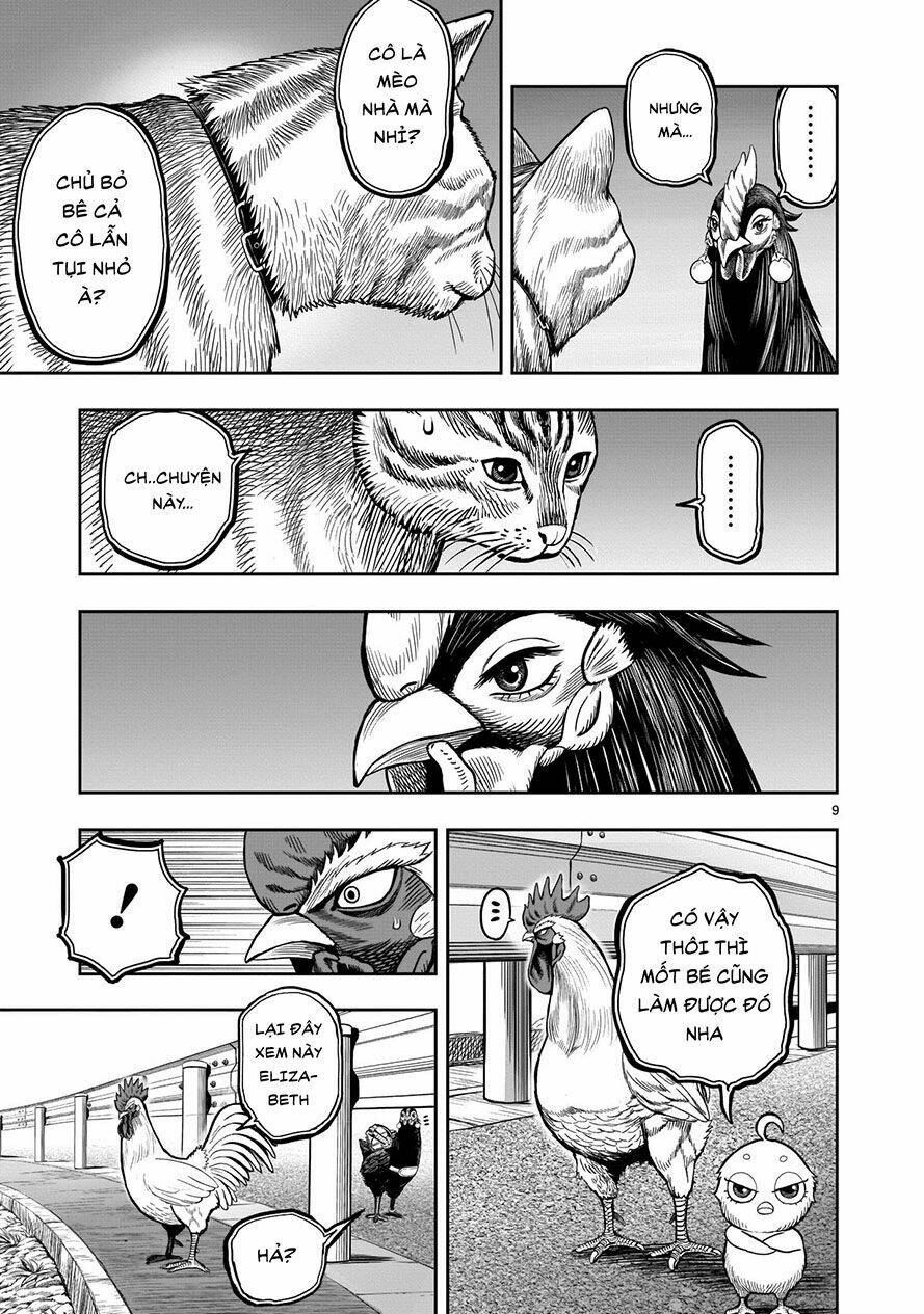 cự kê chiến ký chapter 9.1 9