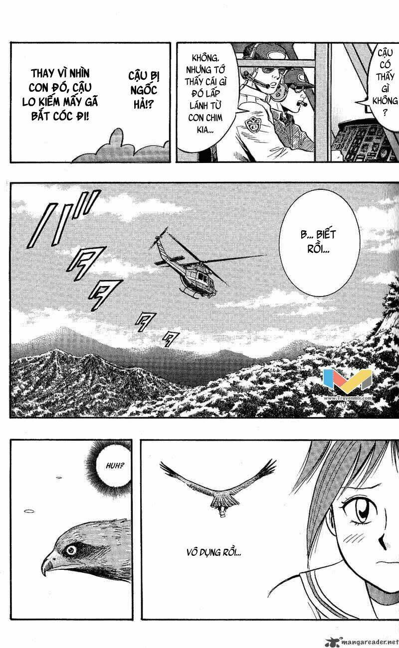 animal sense chapter 11 17