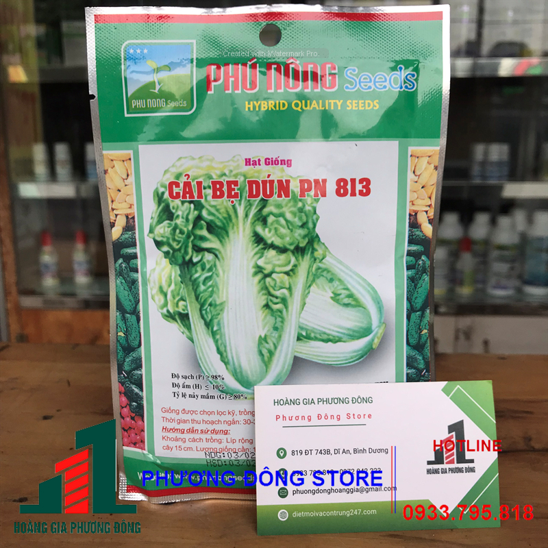 Combo 5-10 gói hạt giống rau cải bẹ dún nảy mầm tốt, giá rẻ
