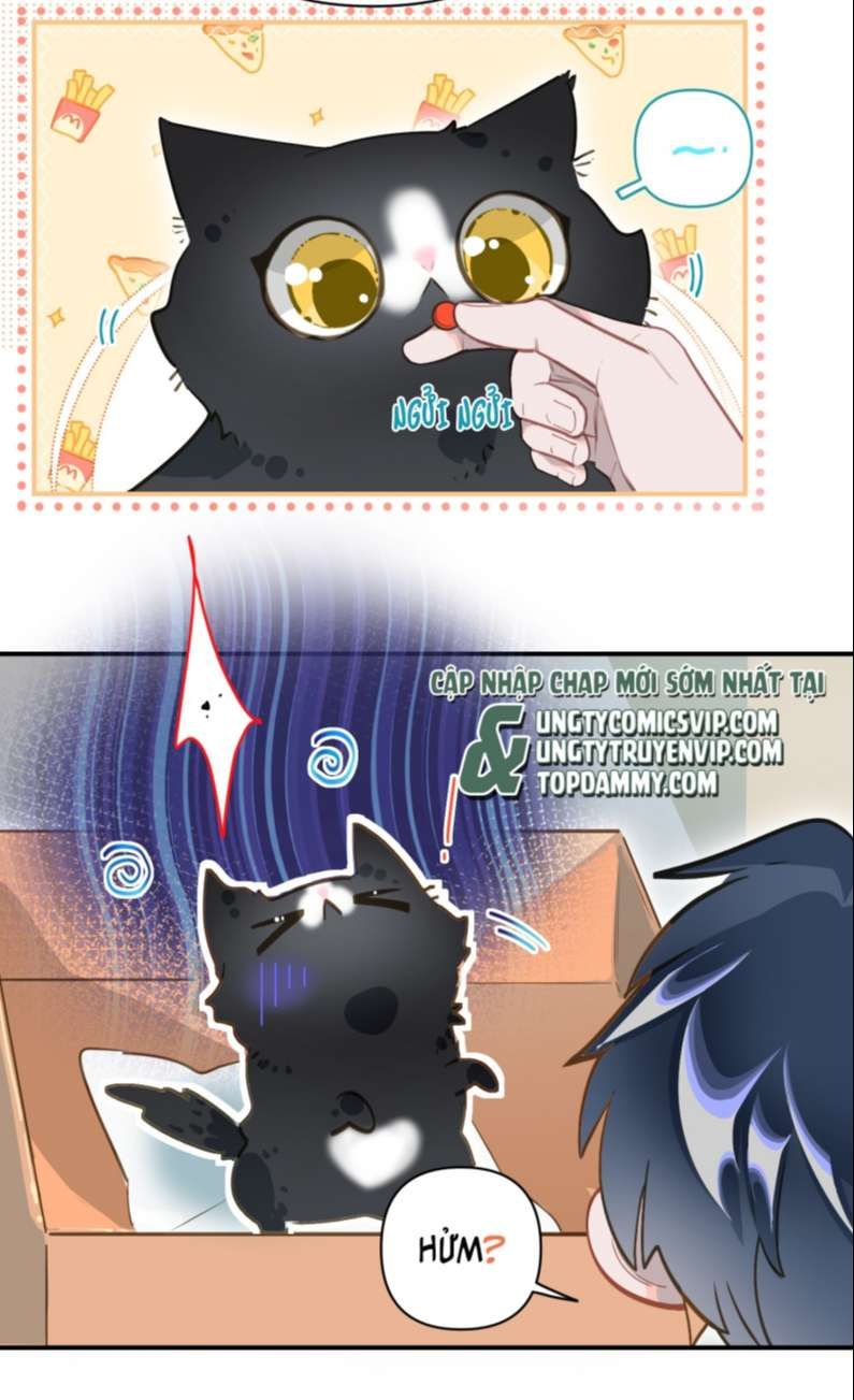 tôi bị điên đó chapter 8 26