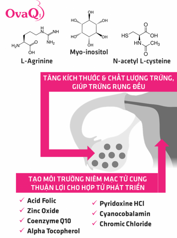 Cơ chế sản phẩm OvaQ1