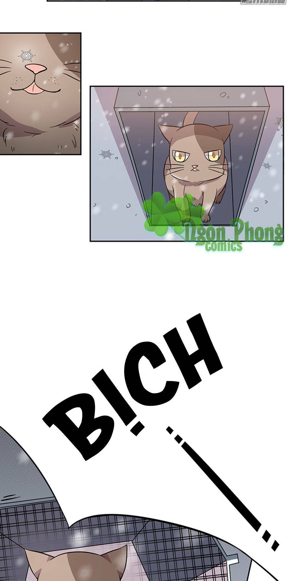 hai chú mèo totem chapter 24 8