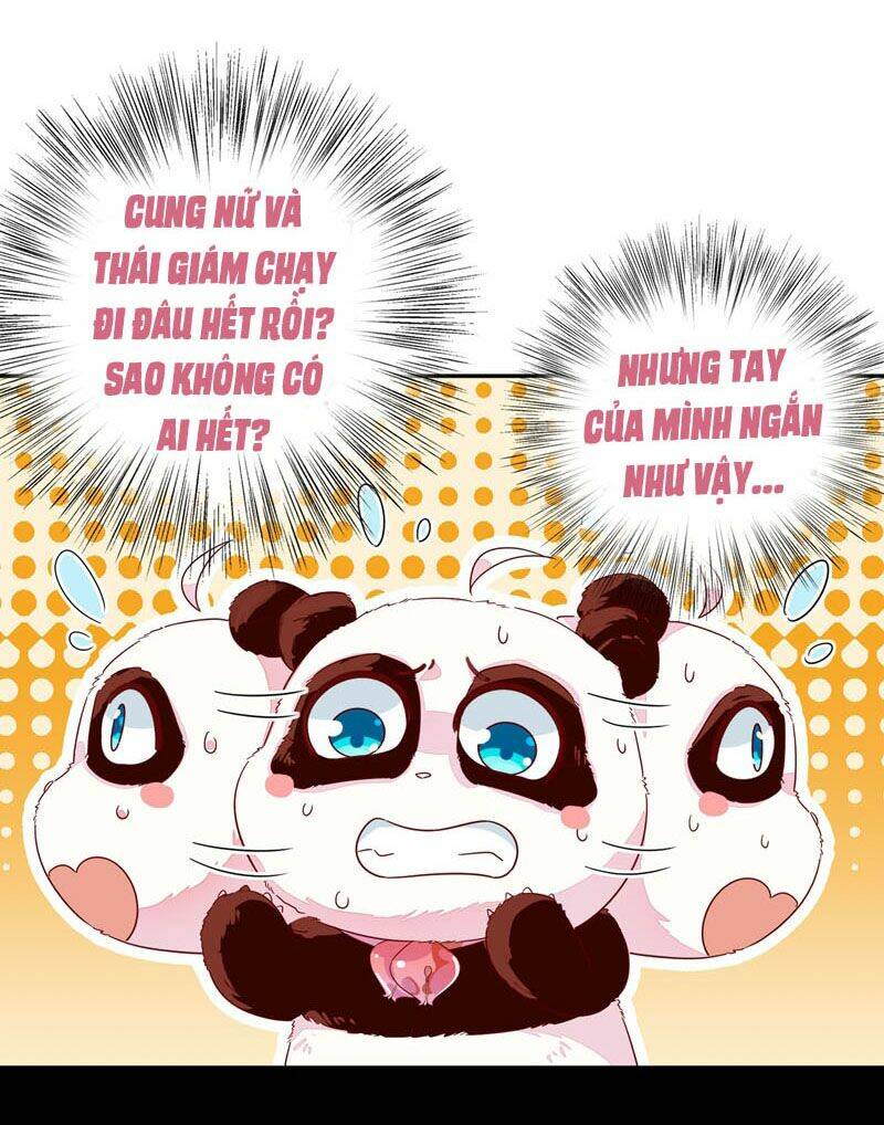 thiên thần gấu trúc muốn được ôm chapter 47 3