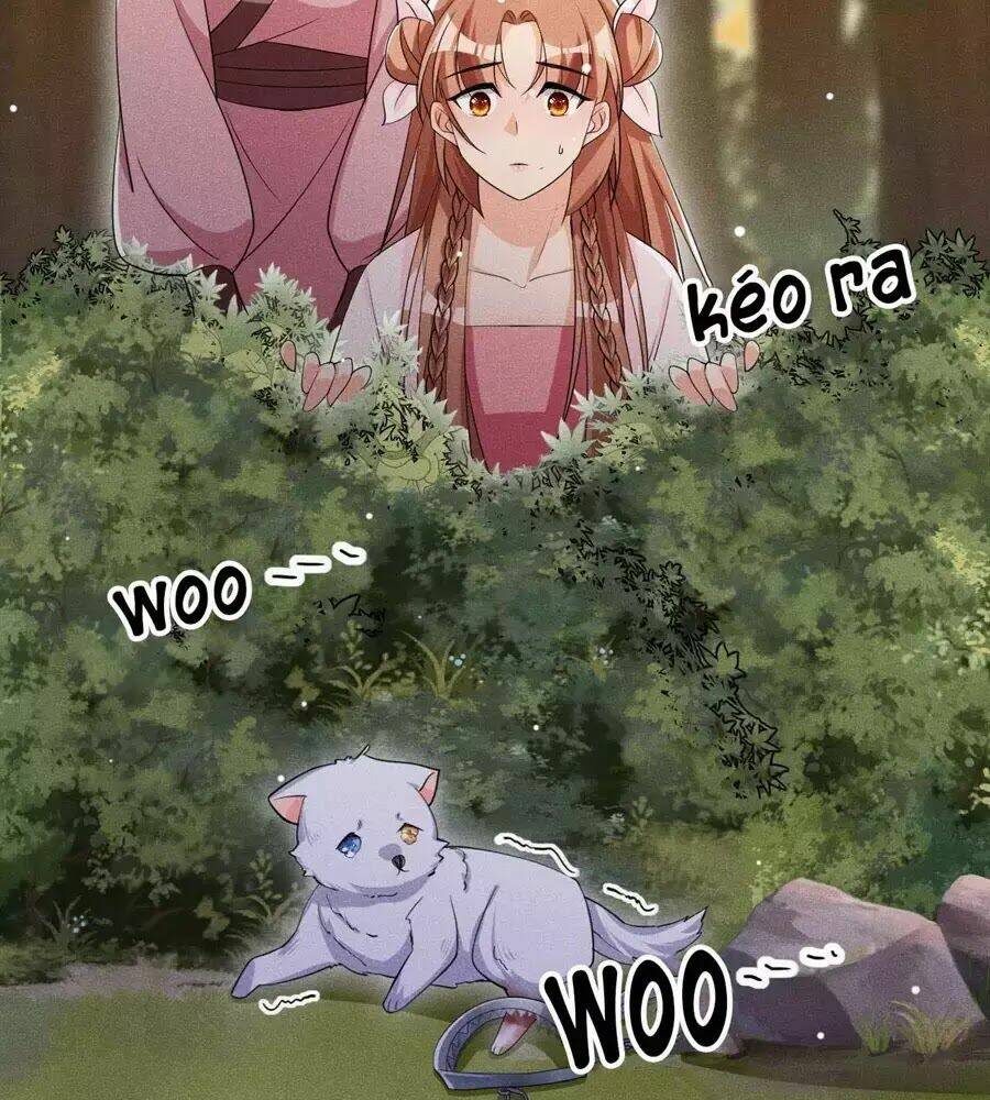 hoàng tử phu quân, ta nuôi ngươi a! chapter 20 64